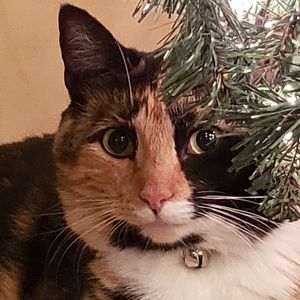 Meet your Posher, Tamara